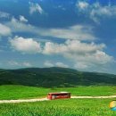 성장목장 이미지