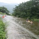 호롱골 Daum카페
