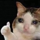 서해셀프세차장 이미지