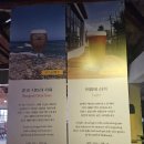 수제 맥주 제조 과정 | 강릉 수제 맥주 양조장 버드나무 브루어리 내돈내산 후기