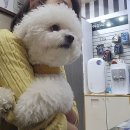 초원동물병원 이미지