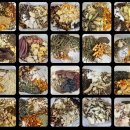 소담재한의원 이미지