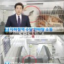 수달 화장실 이미지
