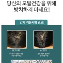 앤썸테라피