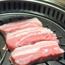거북이동네 - 동래구 석사로 14 | 거북이동네