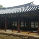 정현지 카카오 검색결과