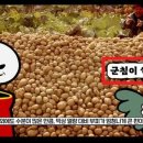 도노 이미지