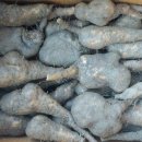 알뜰 농장 이미지