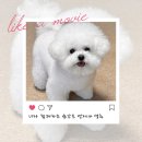 미용농장 이미지