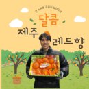 야채도사과일도사 - 해운대구 세실로 87 | 야채도사과일도사