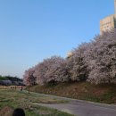 구미교 이미지