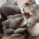 검성로-11 이미지