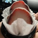 진남유통 | 여수디저트맛집 여수딸기모찌 서녹씨본점 이순신광장 근처 여수여행 필수코스 과일모찌 맛집