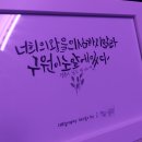 캘리 그래피 | 악필 교정 및 정신 수양에 좋은 캘리그라피 원데이 클래스 후기 ( + 내돈내산 세종 캘리그래피 )