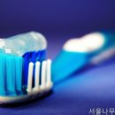 서울나무치과의원 네이버블로그