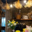 신화3호 | 한경면용수리 제주서이 3호에서 제주감성숙소프로포즈