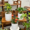 대전광역시중구은행선화동행정복지센터 이미지