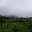 (주)도반