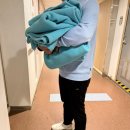 펫배요 | 목포 제주도 배편 퀸제누비아 애견동반 펫스위트룸 후기