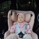 구스켓 | 구스켓 아기띠 워머 후기ㅣ실제 써보니 겨울 외출 필수템 맞네요