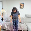 설렘 가득했던 젠더리빌 파티 후기 아기성별공개 풍선 이벤트