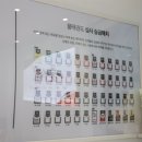 품태권도장 네이버블로그