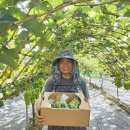 월명농장 이미지