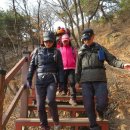 조강철책길 이미지