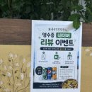 [제주] 제주도 용두암 맛집 용담 보말칼국수, 보말죽과 자리 물회, 내 돈 내산 솔직 후기!