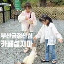초록토끼가 | 부산 금정산성 카페 추천 귀여운 토끼가있는 설지아