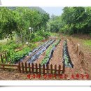 효세농장 이미지