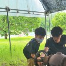 서인 합기도검무관 이미지