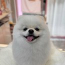 똘이살롱 이미지