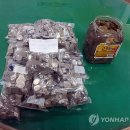 반송2동-27 이미지