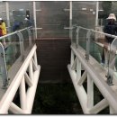 스카이워크(아리힐스) 이미지