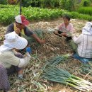 배산경로당 이미지