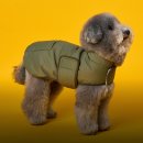 도그엔젤 | 엔젤도그 강아지 겨울 숏패딩 따뜻한 개따뜨텍 디자인 살펴보기