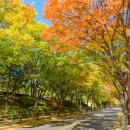 목동동로2길 이미지