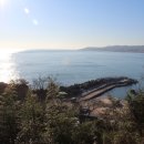 경북 경주 읍천 Daum카페