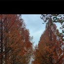 아리아 Ⅰ 이미지