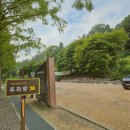 부귀 메타세쿼이아길 이미지