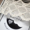 우쿨렐레 수업 | 한국실용생활음악협회 2월 대구 우쿨렐레 자격증 1급 수업 기록 &amp; 시험 준비 후기