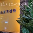 비바휘트니스 | 망우동헬스 비바휘트니스센터 망우점 가격 후기