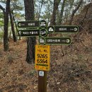 최씨농장 | 동서트레일 4구간 태안 태안읍행정복지센터-백화산-흥주사-오석산-서산 팔봉산주차장 여행기록