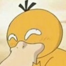 모야짐 이미지