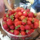 유학농장 이미지