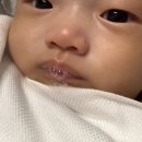 쑤누야