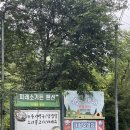[캠핑] #9 양산 배내골 캠핑배내 6번 사이트 후기 | 아이와 함께 가기 좋은 계곡 수영장 캠핑장