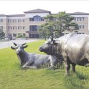 천안연암대학 이미지