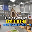 세븐일레븐 고양롯데아울렛점 | [고양 이케아 키즈카페 👶🏻] 아이와 가볼만한 대형...카페 🧸, 챔피언 롯데아울렛 고양점 내돈내산 솔직후기❗️